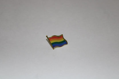 LGBTQ+ Pin